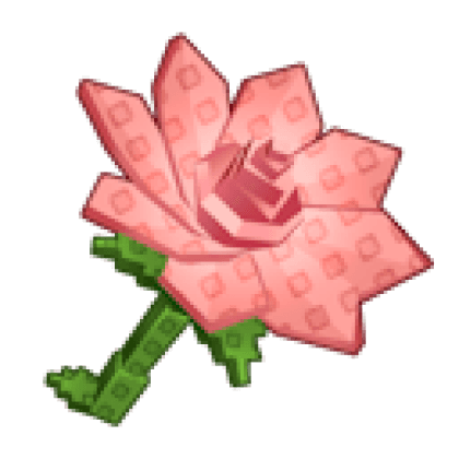 Pink Lily produce