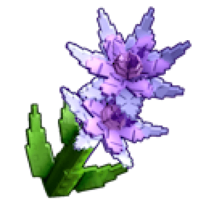 Purple Dahlia produce