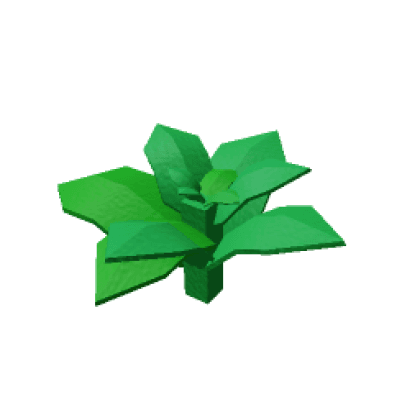 Mint produce