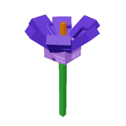 Crocus produce