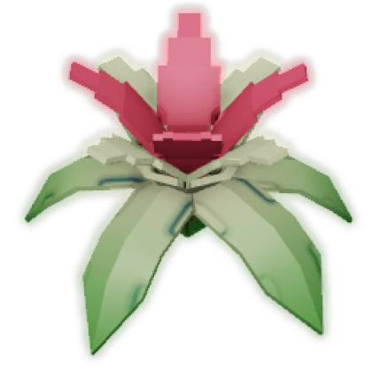 Banana Orchid produce