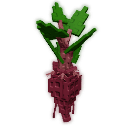 Evo Beetroot IV produce