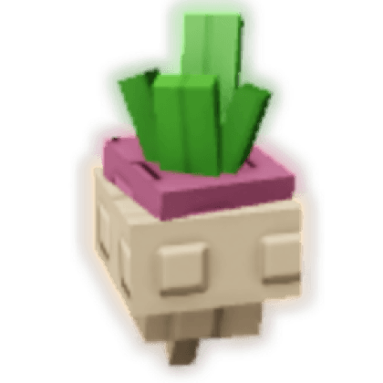 Turnip produce