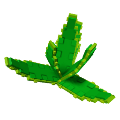 Aloe Vera produce