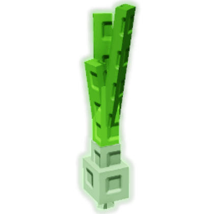 Spring Onion produce