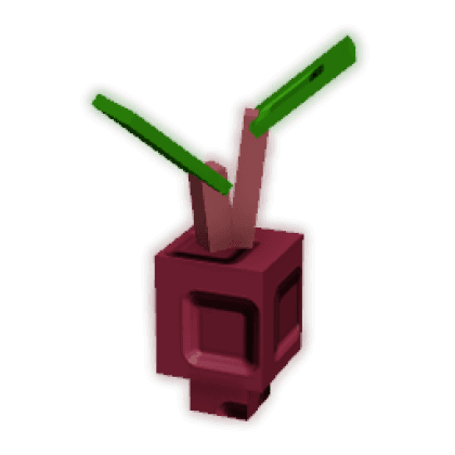 Evo Beetroot I produce