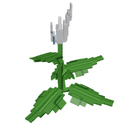 Peace Lily produce