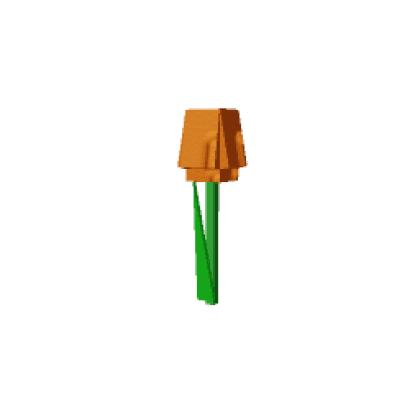 Orange Tulip produce