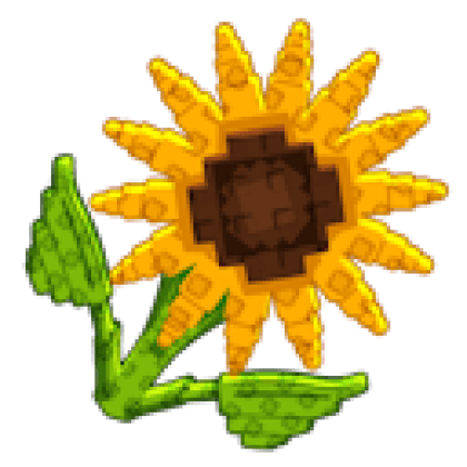Sunflower produce