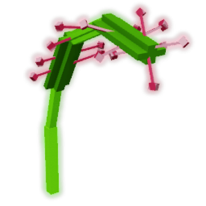 Sundew produce