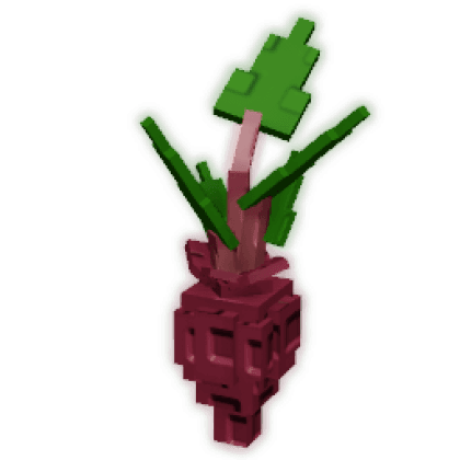 Evo Beetroot III produce