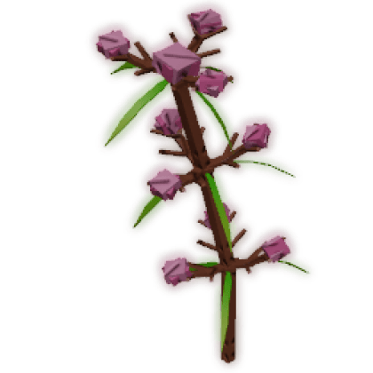 Speargrass produce