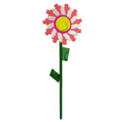 Candy Sunflower produce