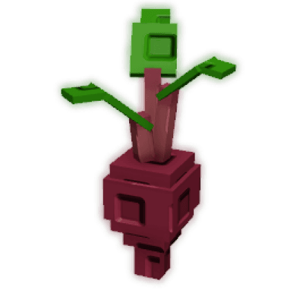 Evo Beetroot II produce