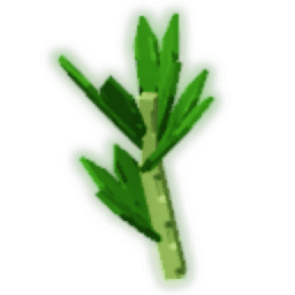 Parsley produce