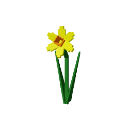 Daffodil produce